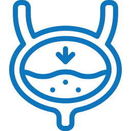 A blue outlined icon depicting a bladder with urine inside, indicated by a wavy line and small dots. An arrow pointing downward is shown above the contents, likely indicating urine flow or pressure within the bladder—ideal for veterinarian educational materials.