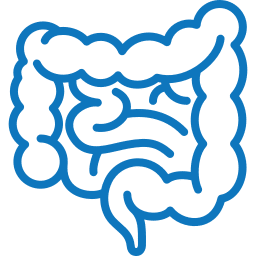 A blue, simplified line drawing of the human digestive system, focusing on the intestines, resembles a veterinarian's anatomical sketch. The large intestine is outlined in a thick bold line wrapping around the central small intestine depicted with thinner, more intricate lines.