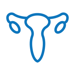 A blue line drawing of a human uterus, showing fallopian tubes and ovaries, resembles a pair of horns with circular ends connected to a central, elongated structure that slightly widens at its top. The design is reminiscent of anatomical charts often studied by aspiring vets.