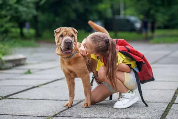 A young girl with a ponytail and a red backpack crouches down to hug a large, wrinkled dog on a leash in an outdoor park setting. The dog stands calmly while the girl smiles at it.